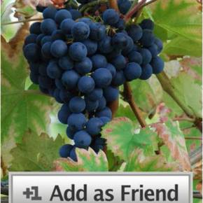 friend request: monastrell