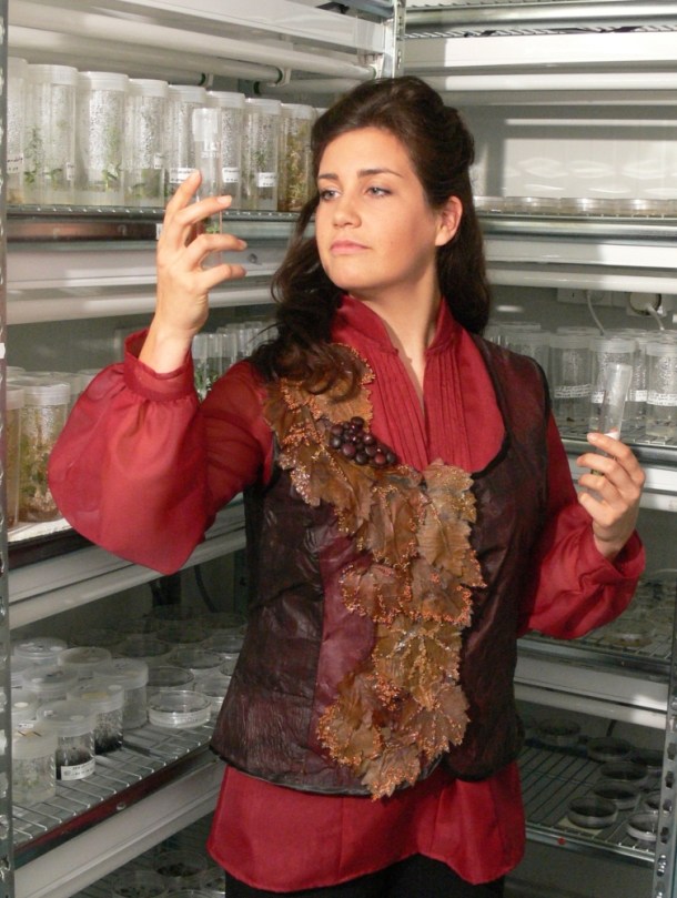 wine dress 5 wine dress