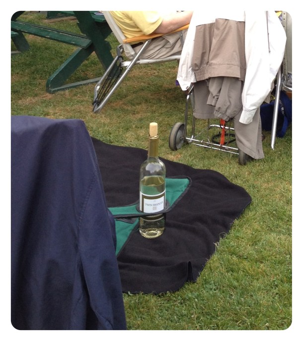 Twin Bridges Pinot Grigio Twin Bridges Pinot Grigio