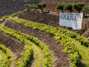 cockburn's port sign douro
