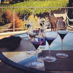 vineyard 29 cabernet franc