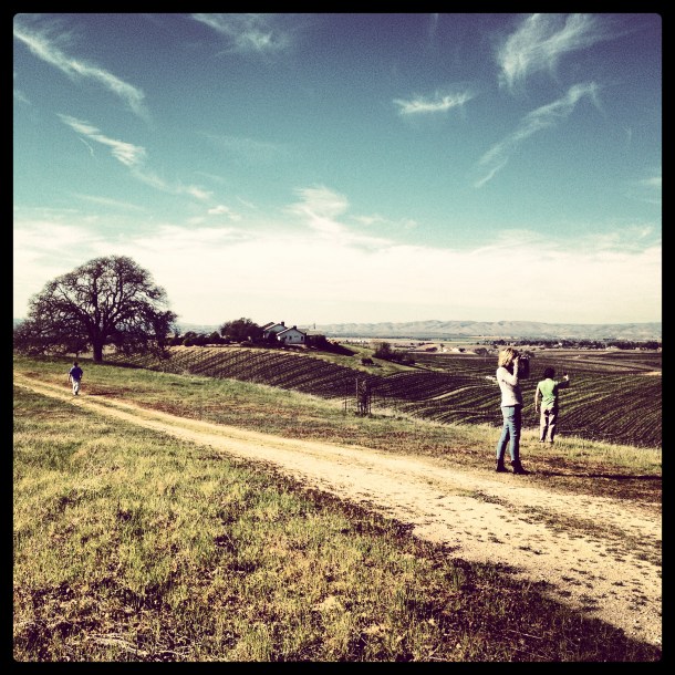steinbeck paso robles tree view