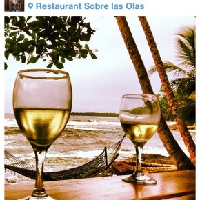 getting your grape on:&nbsp;may