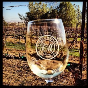 friend request: grenache&nbsp;blanc