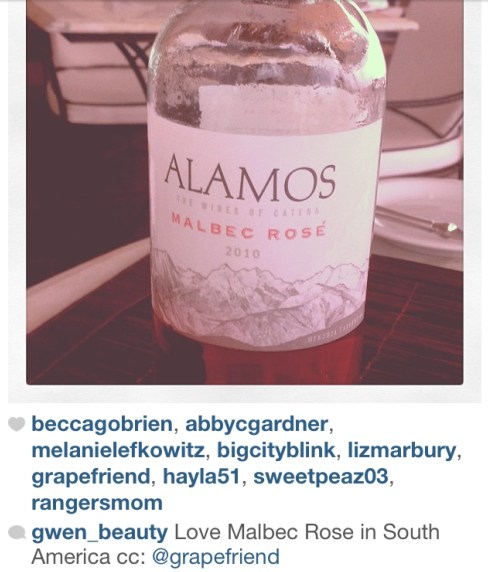 alamos malbec rose