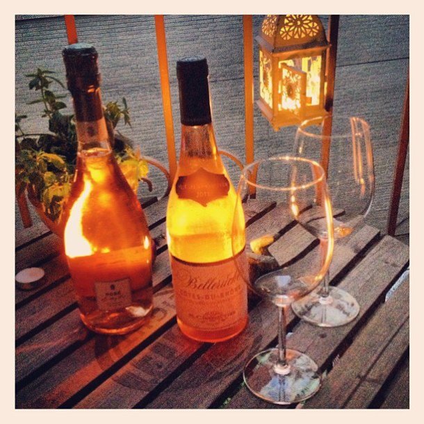 bellruche lamberti rose 