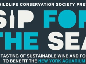 you deserve a grape today,&nbsp;aquarium!