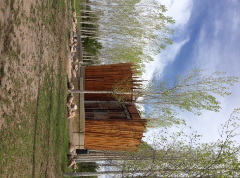 the "willy wonka" room. I don't even know if they have willy wonka in argentina