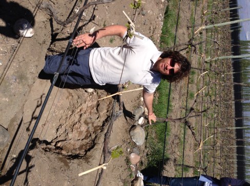 luis the vineyard manager showing us the white bones soil
