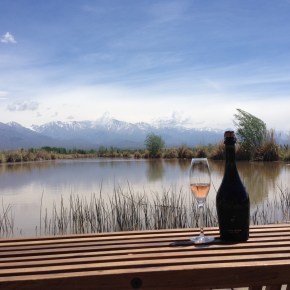 the 12 days of fizzmas: sparkling malbec from mendoza on day&nbsp;7