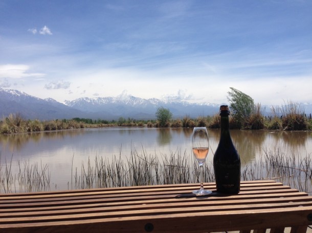 ernesto catena alma negra sparkling malbec