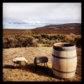 5 cool facts about washington&nbsp;wine