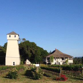 grape passport: mendocino