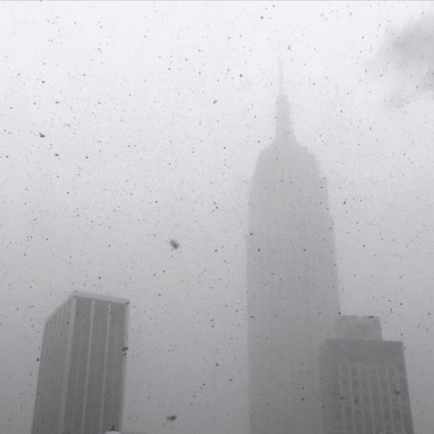 10922667_594430327356270_3267299952650301577_n