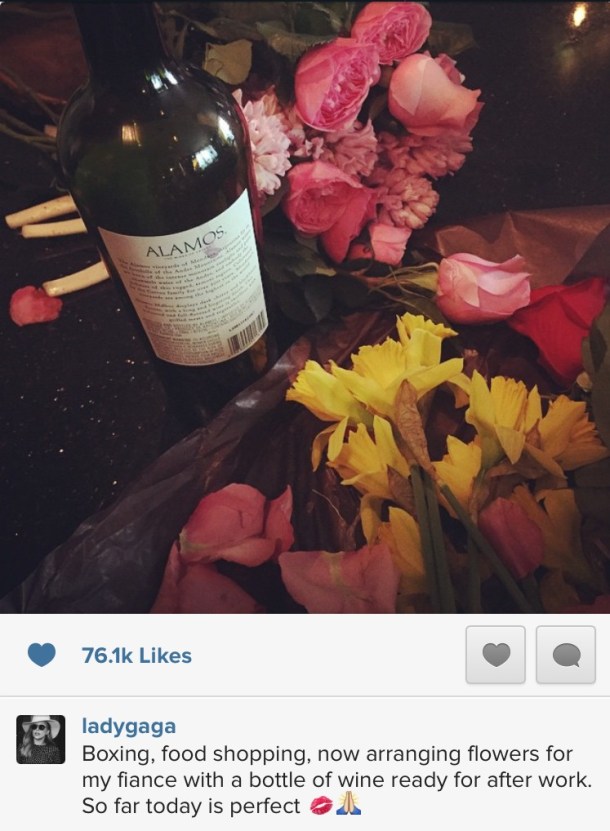 alamos malbec lady gaga