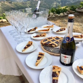 sparkling times in&nbsp;piedmont